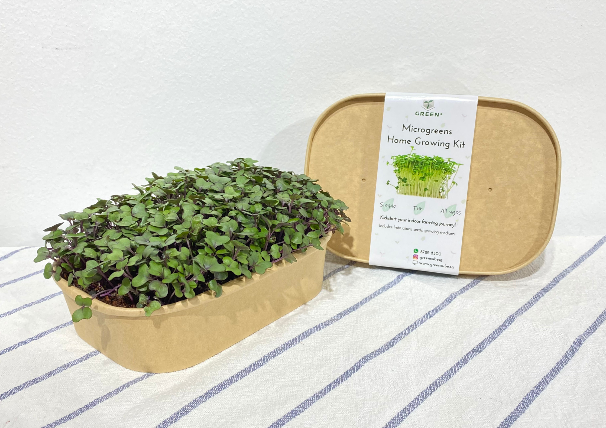 Microgreens Home Growing Kit